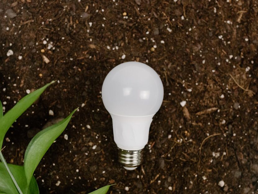 Fortum – nowoczesne podejście do energii i środowiska